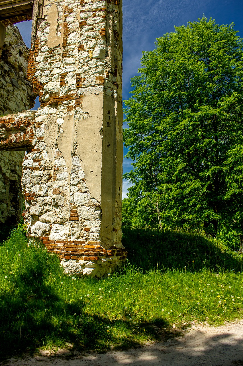 Image - bychawa the ruins of the castle