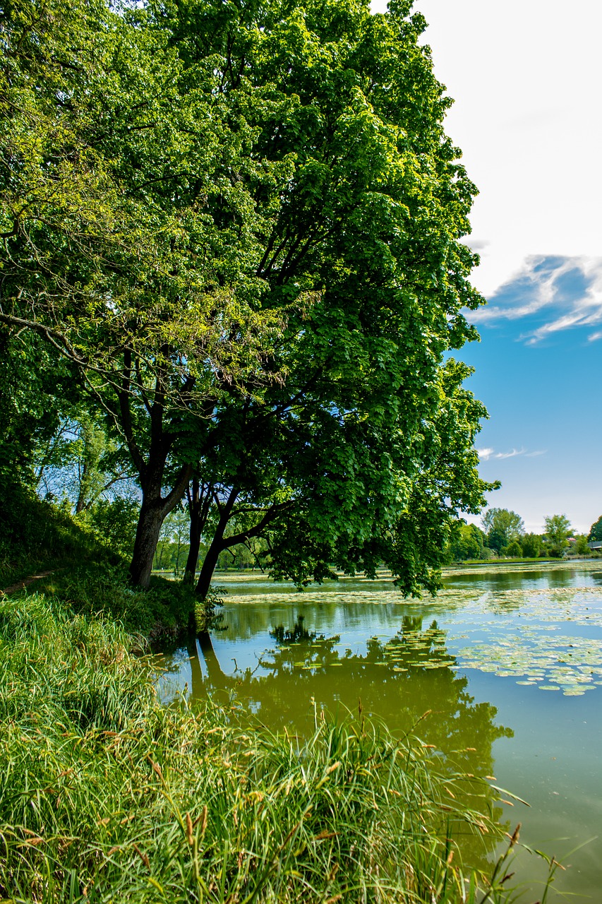 Image - bychawa lagoon water rest