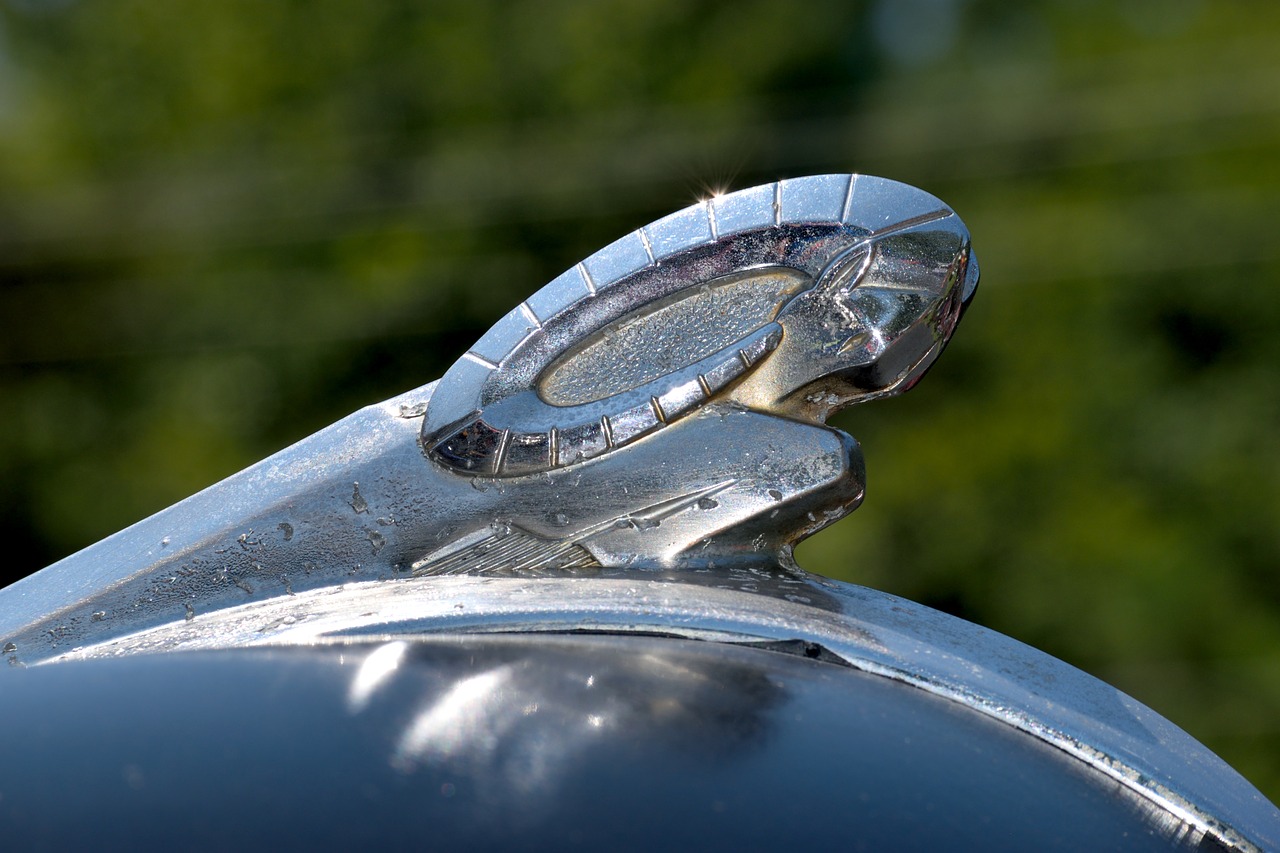 Image - vintage hood ornament design