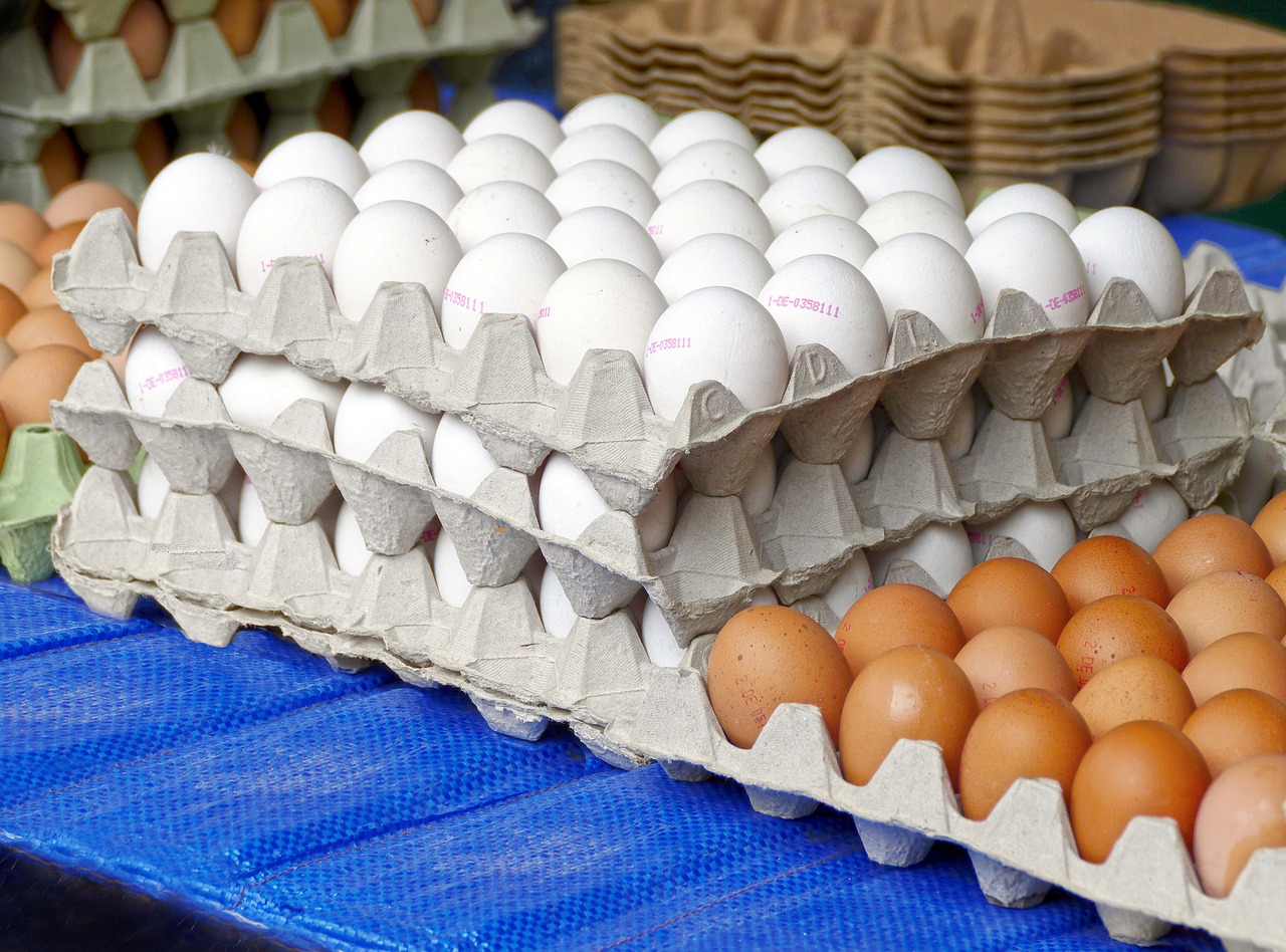 Image - egg hen s egg egg carton