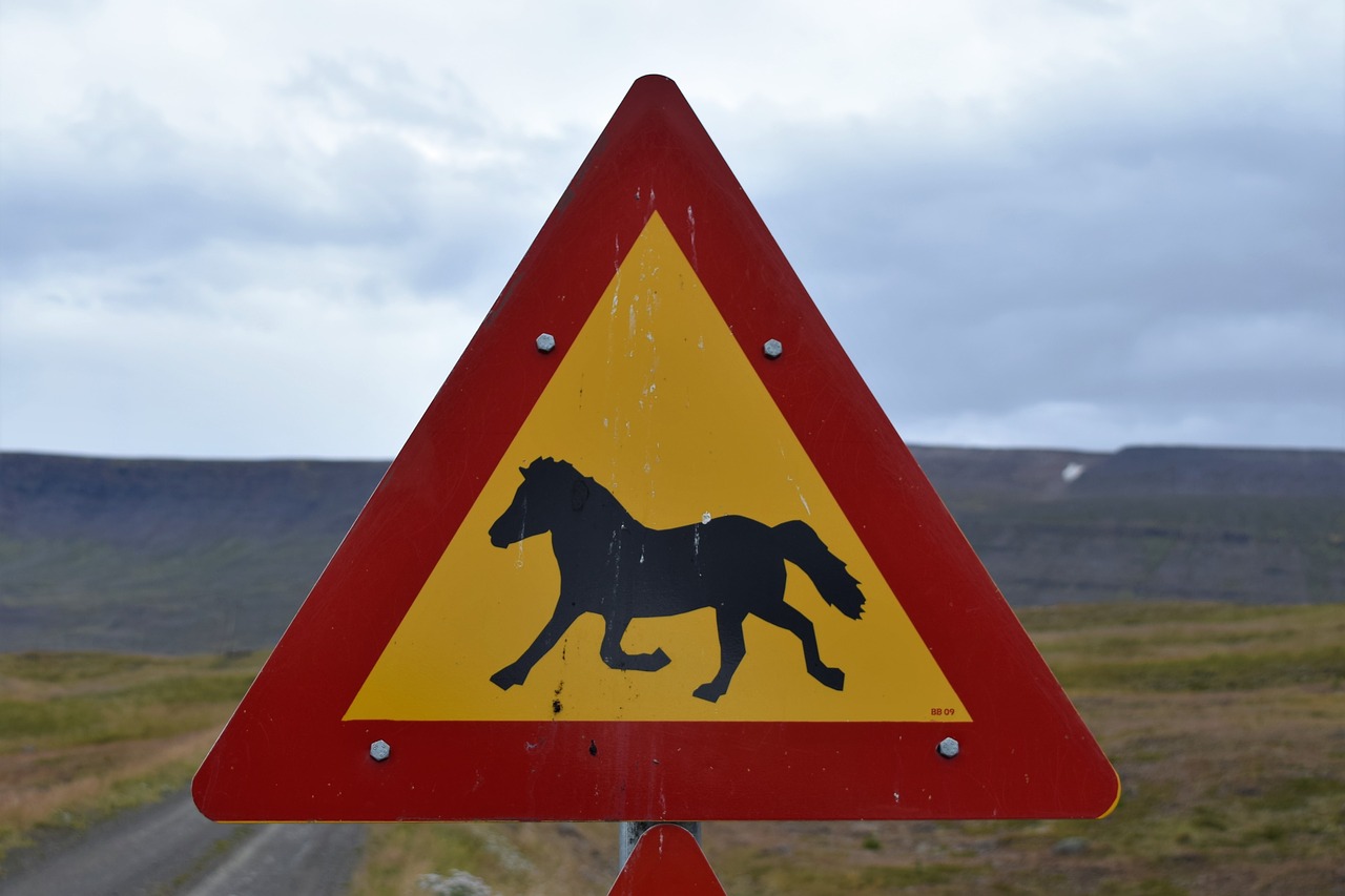 Image - sign horse crossing road street