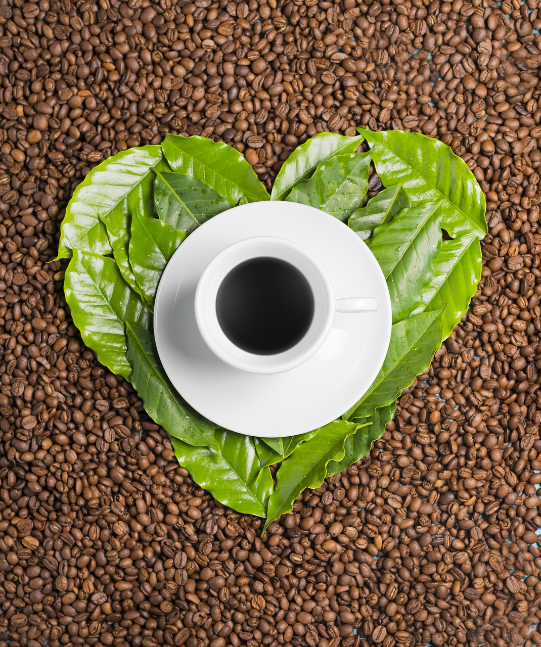 Image - coffee love leaves heart