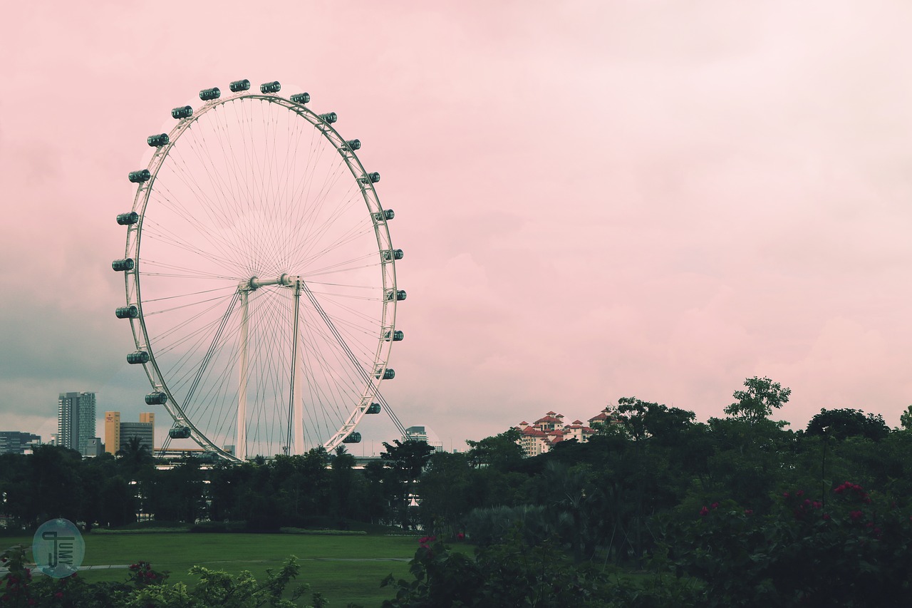 Image - singapore pink nature colorful