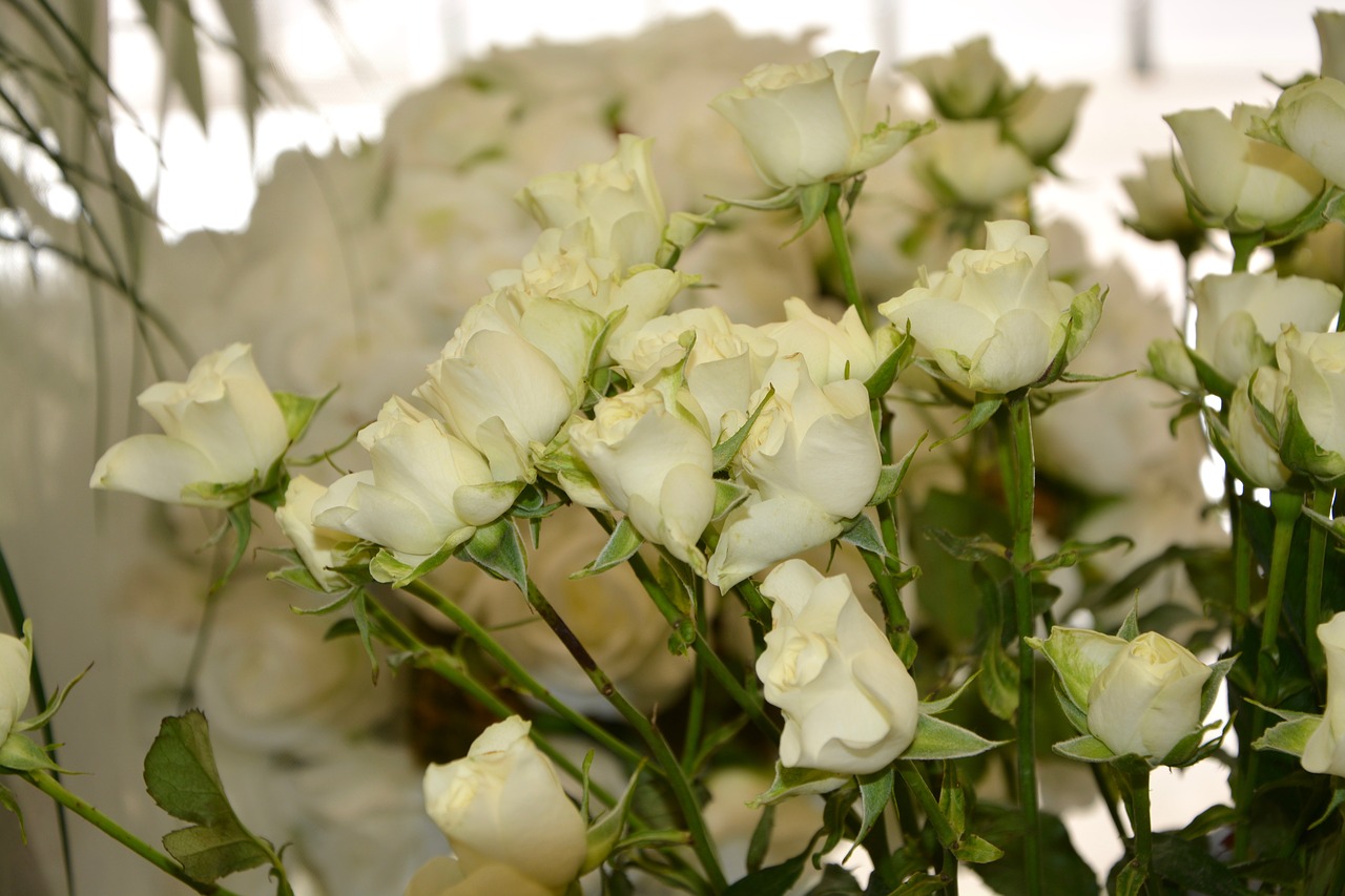 Image - flowers white roses bouquet