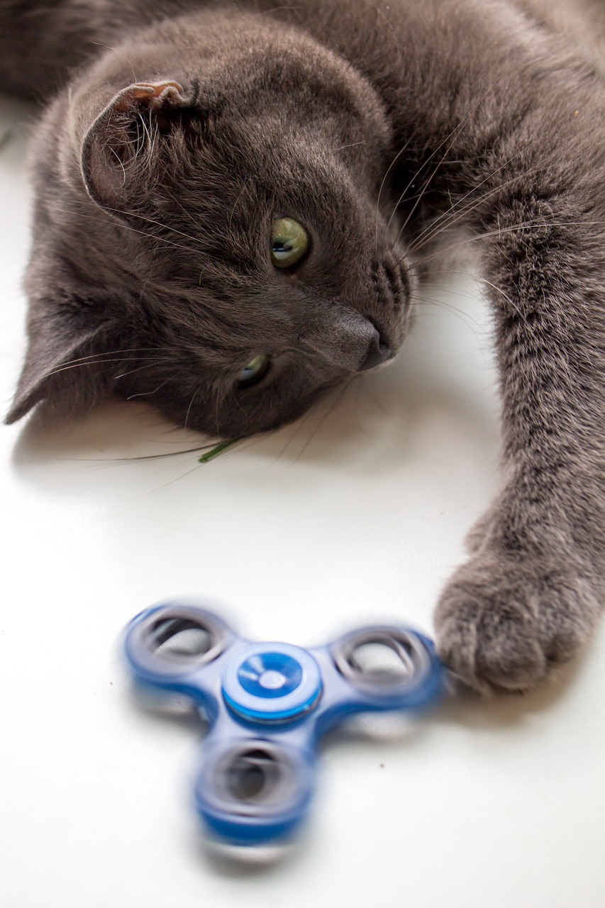 Image - spinner cat toy the top grey home