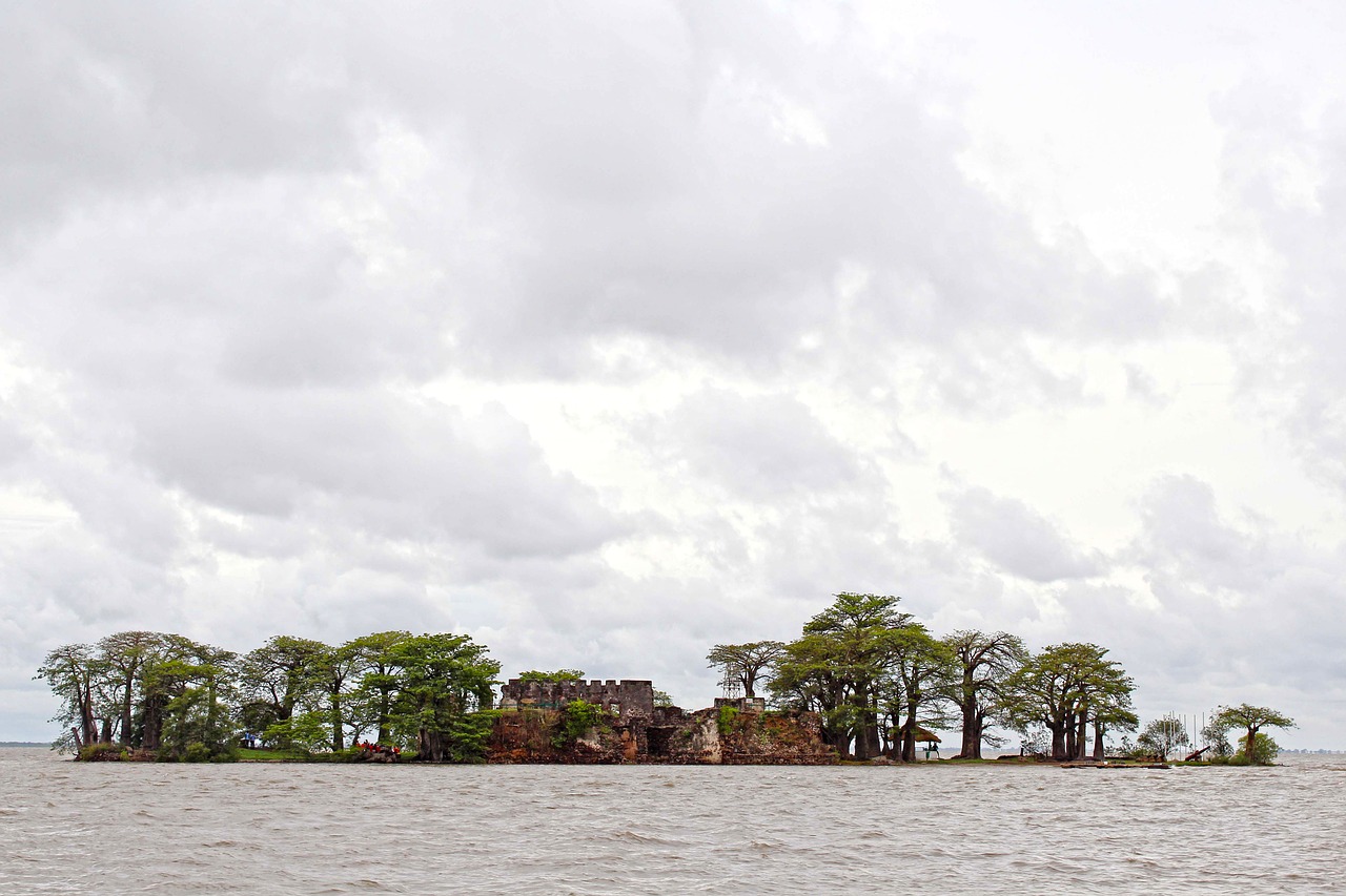 Image - kunta kinteh island island tropical
