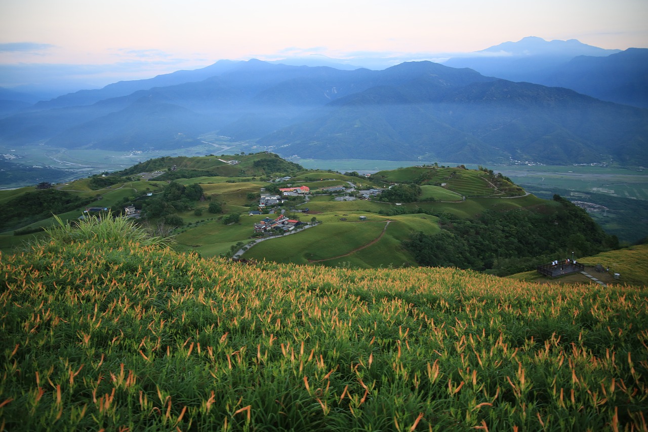 Image - taiwan little switzerland flower