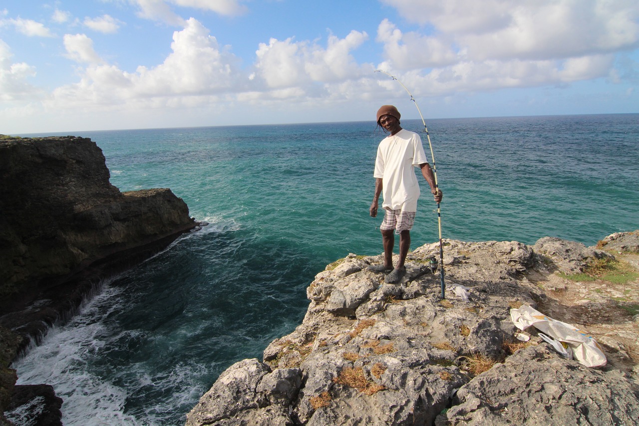 Image - visser barbados nature cliff