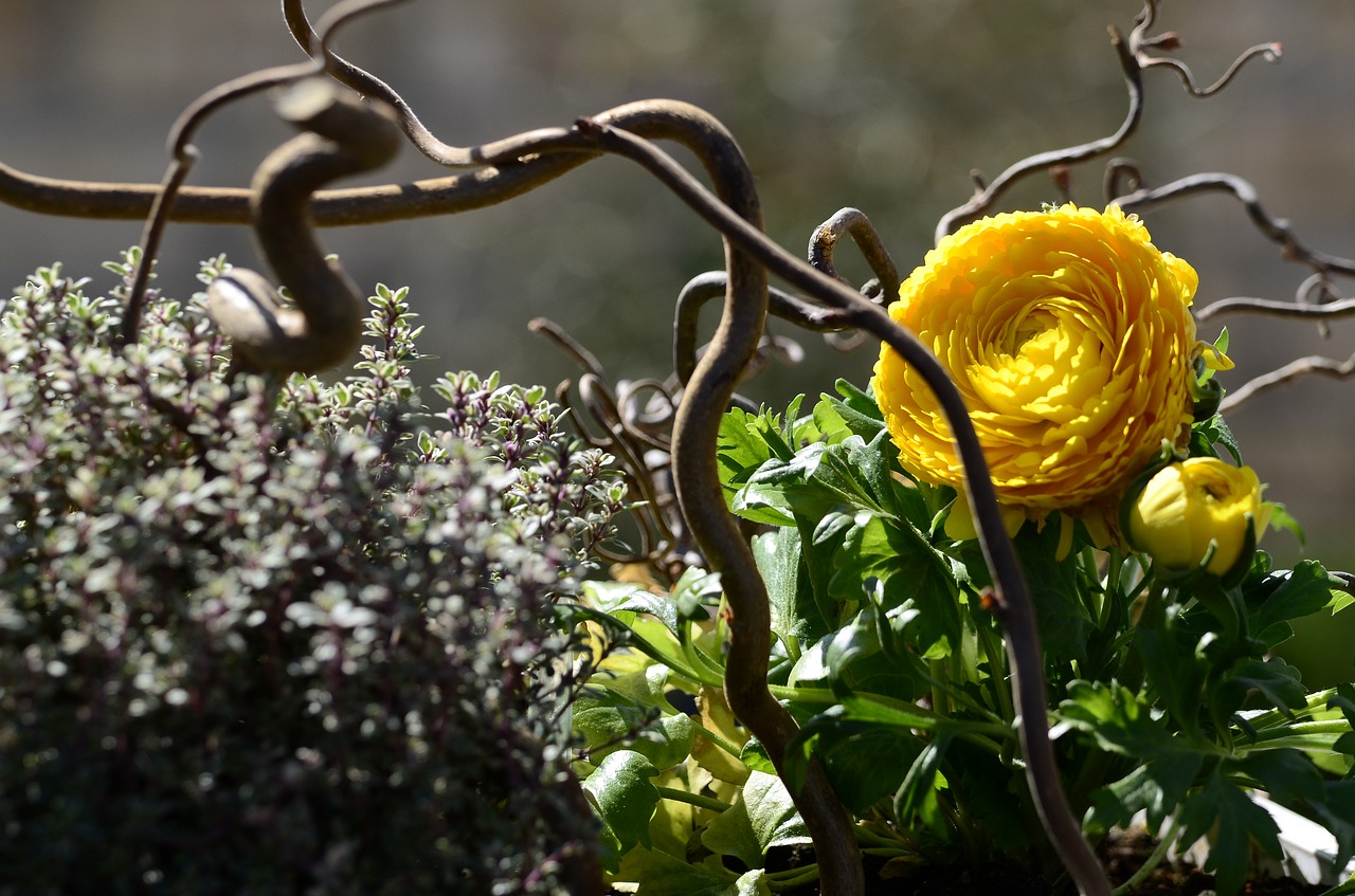 Image - flower arrangement flower branch