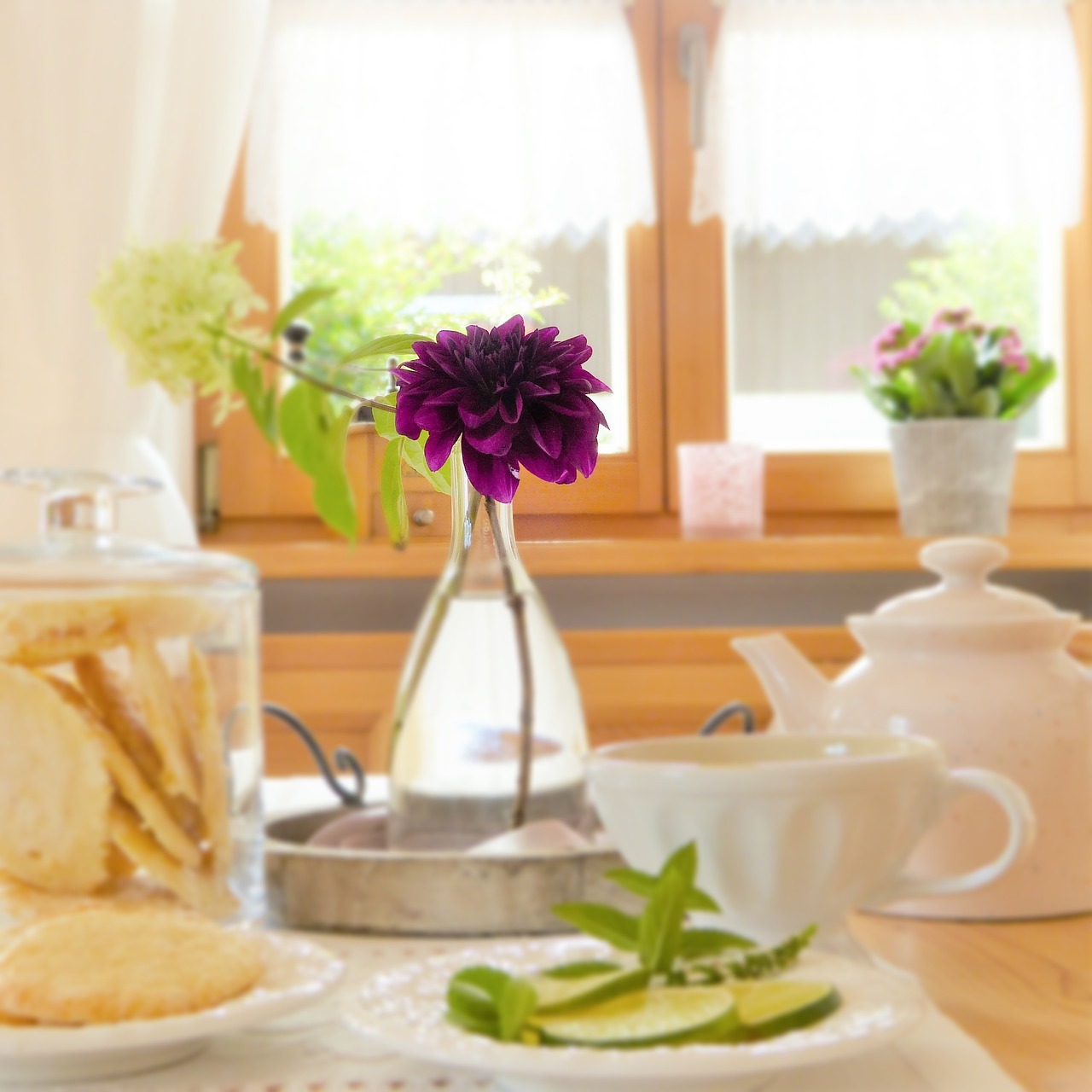 Image - table covered flower dahlia teapot