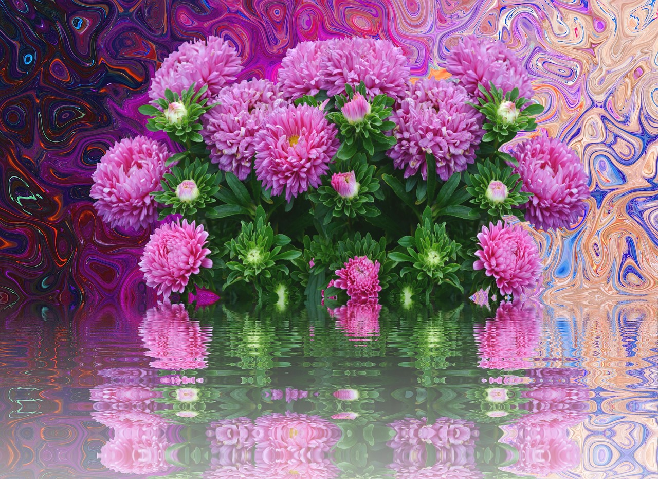 Image - asters autumn flowers purple