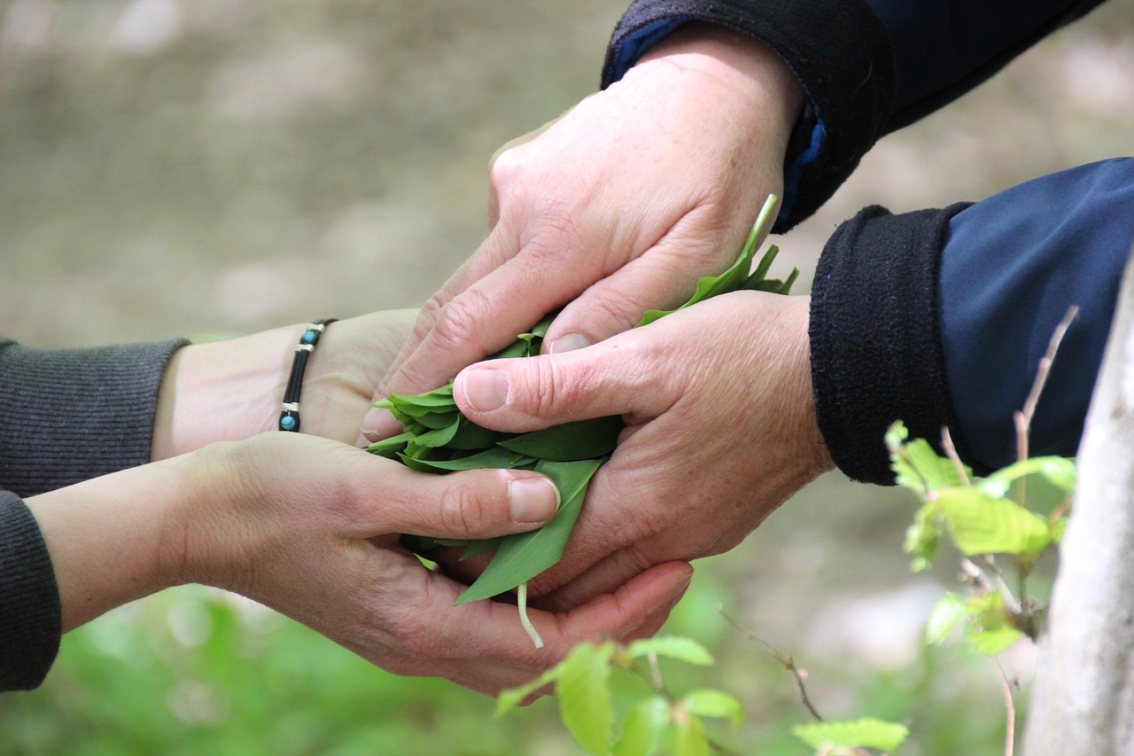 Image - hands together human transfer