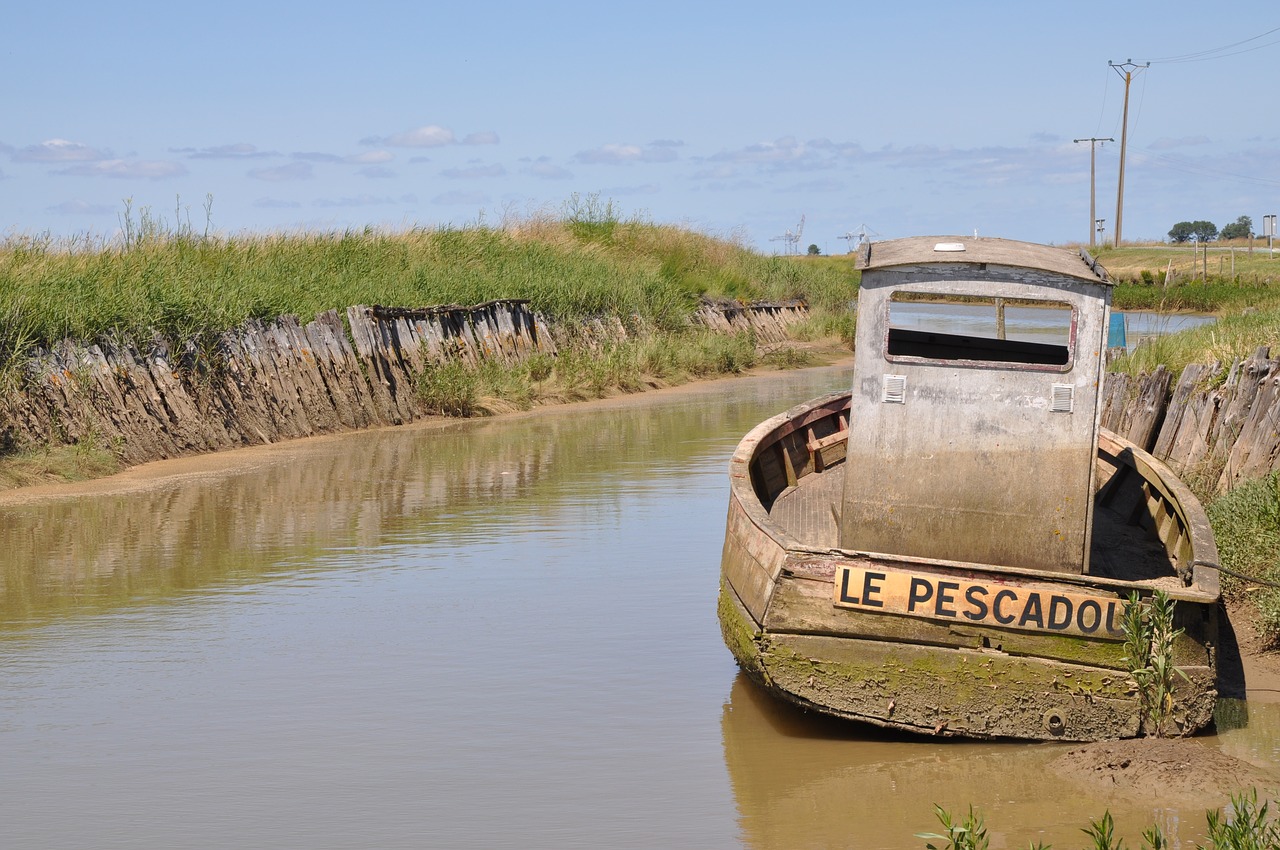 Image - estuary gironde france marsh