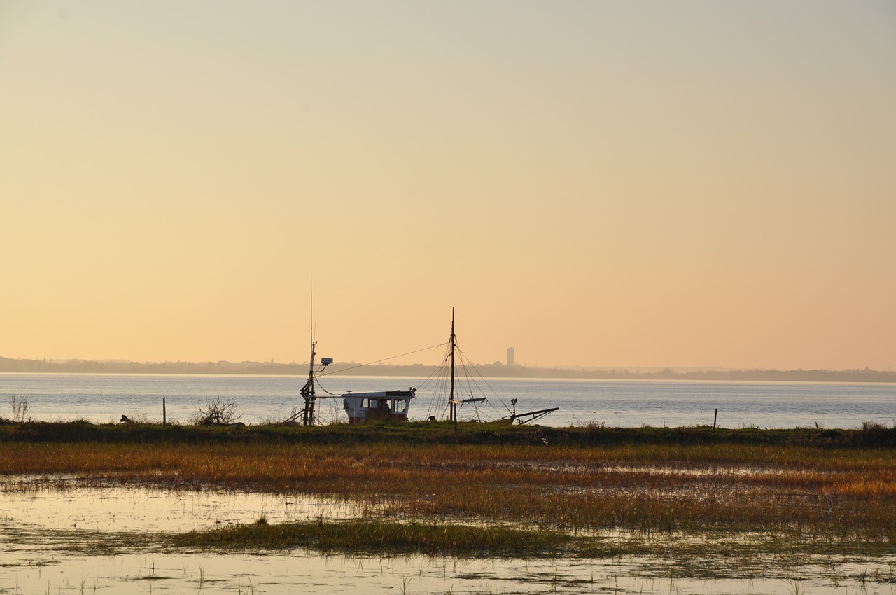 Image - estuary gironde france marsh