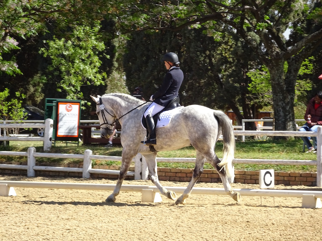 Image - horse show extended trot dressage