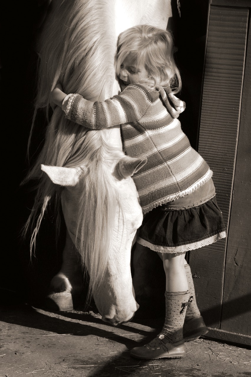 Image - hug girl love horse grey kid