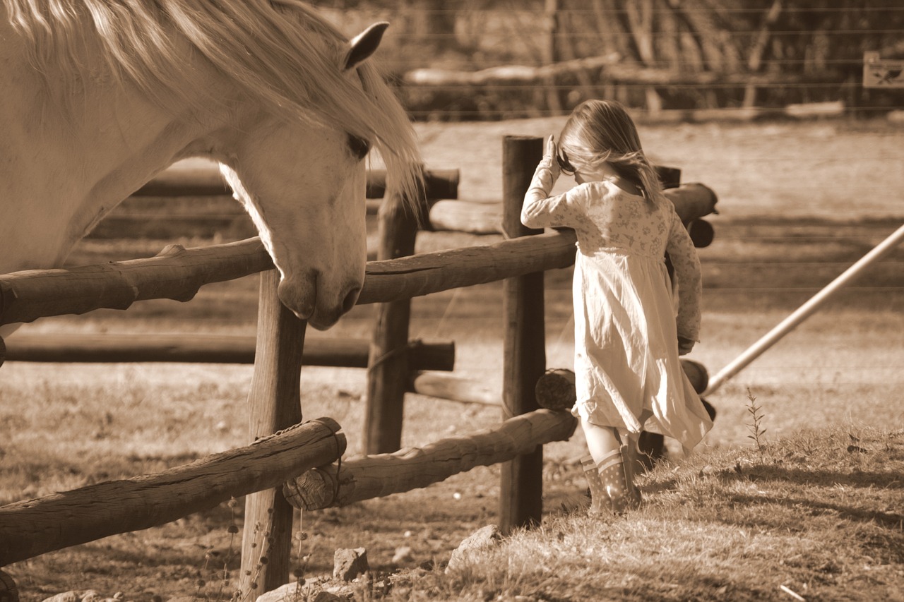 Image - horse hair flowing girl equestrian