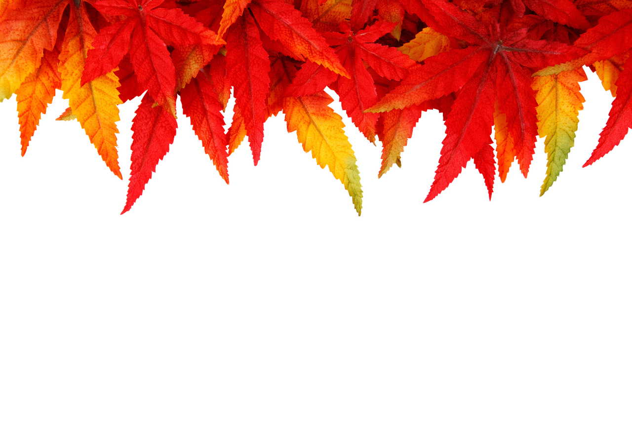 Image - background autumn leaves