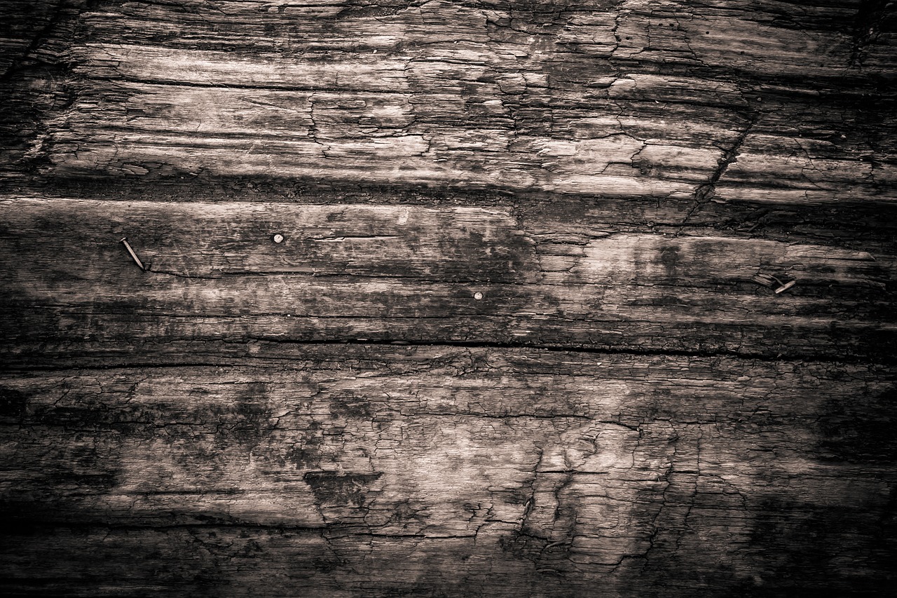 Image - texture wood monochrome