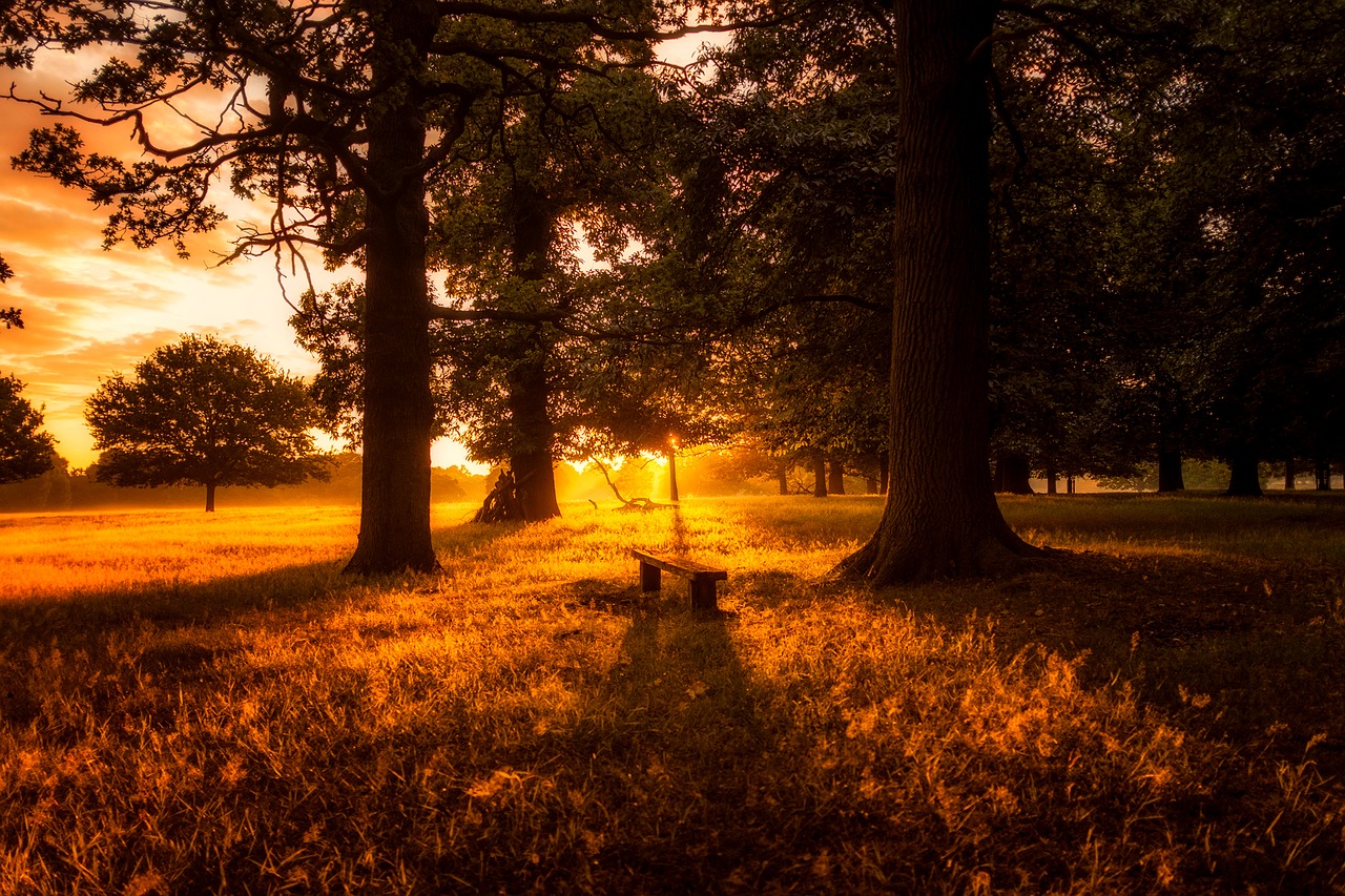 Image - england great britain sunrise fog