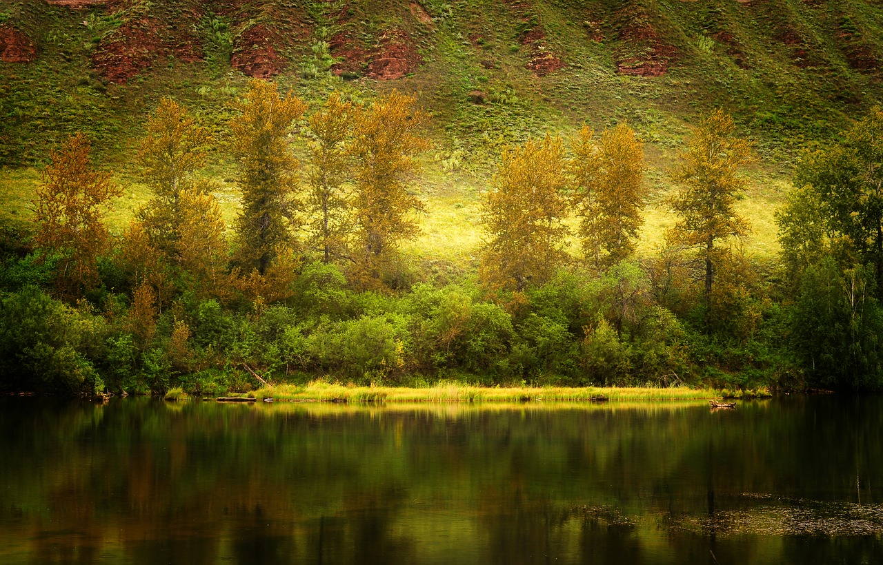 Image - autumn landscape nature forest