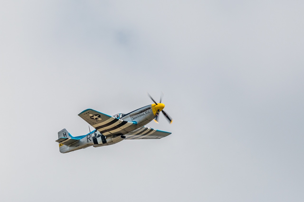 Image - p 51d mustang warbird aircraft fly