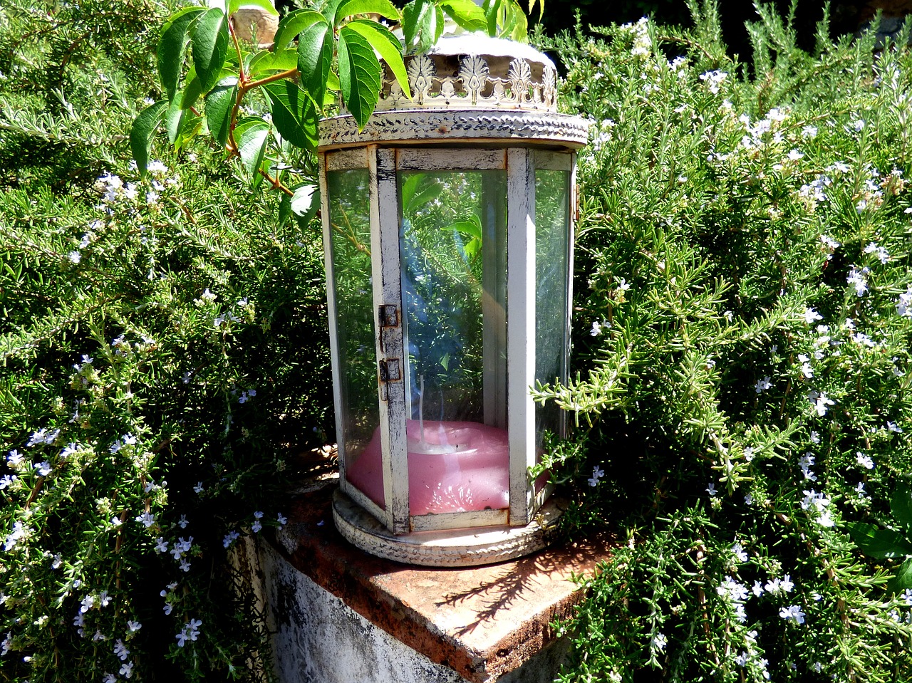 Image - lantern glass candle garden green