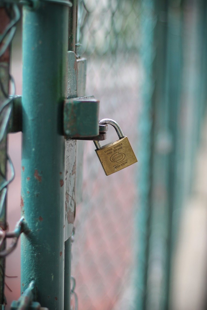 Image - padlock castle capping u lock