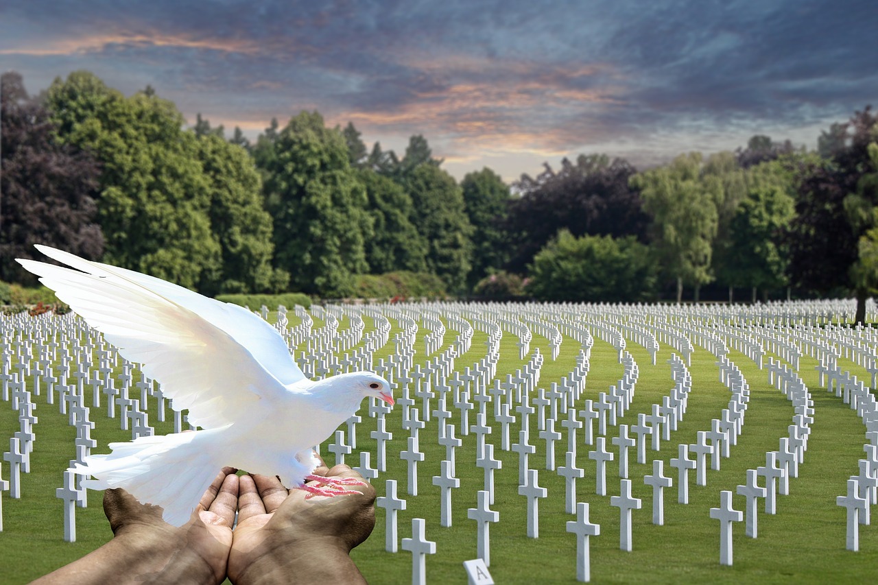 Image - peace dove white dove cemetery