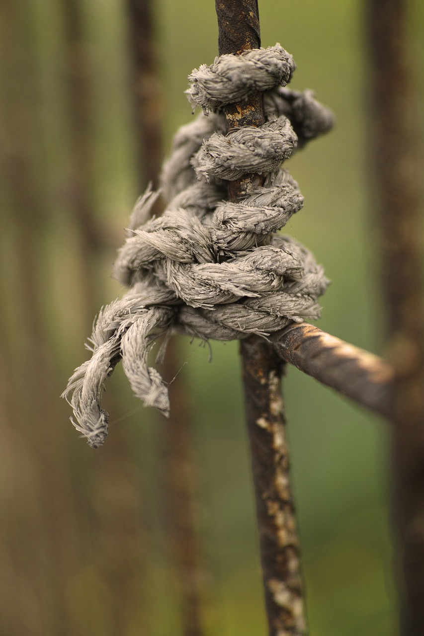 Image - rope grey daniel macro rusty