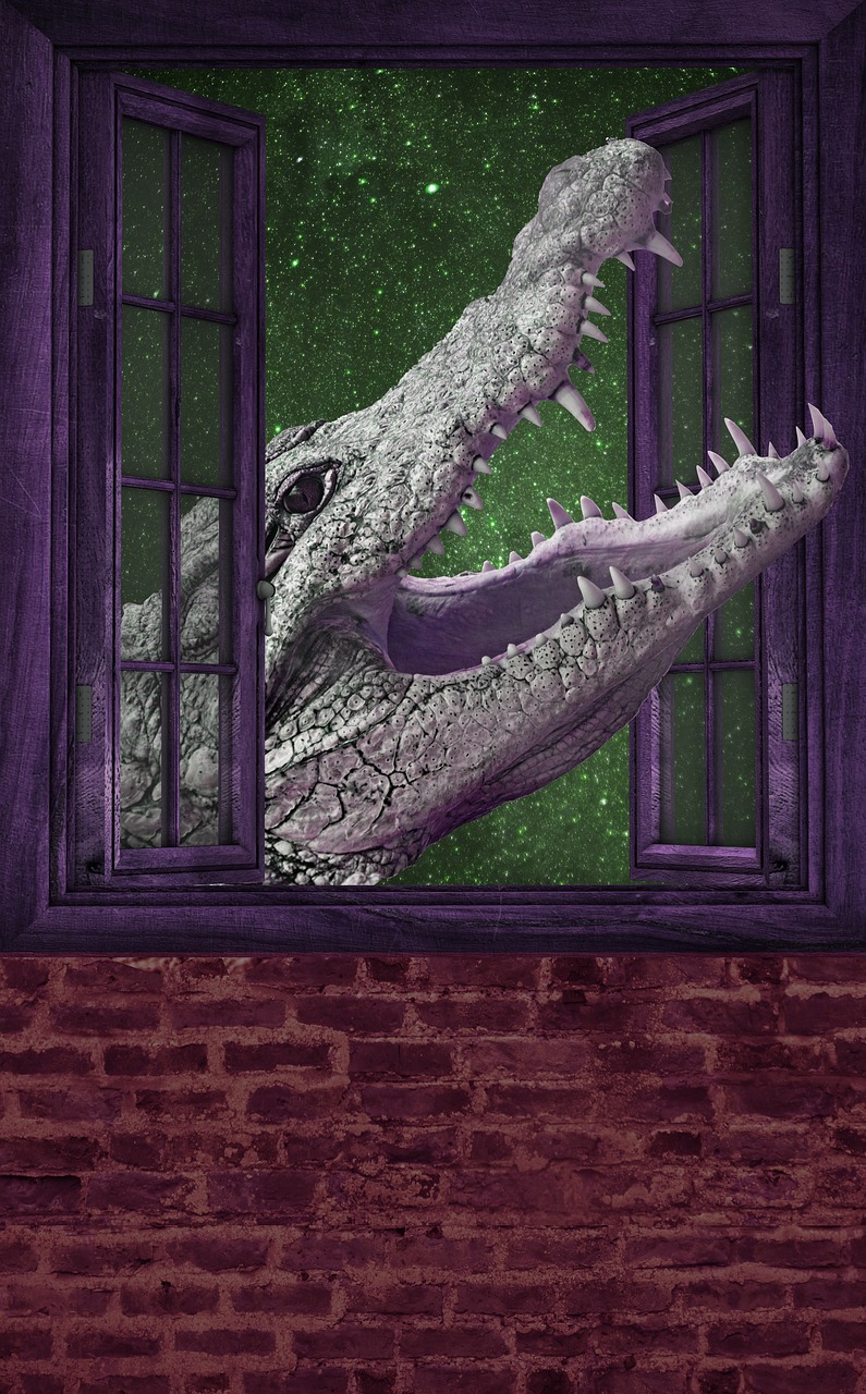 Image - crocodile window alligator animal