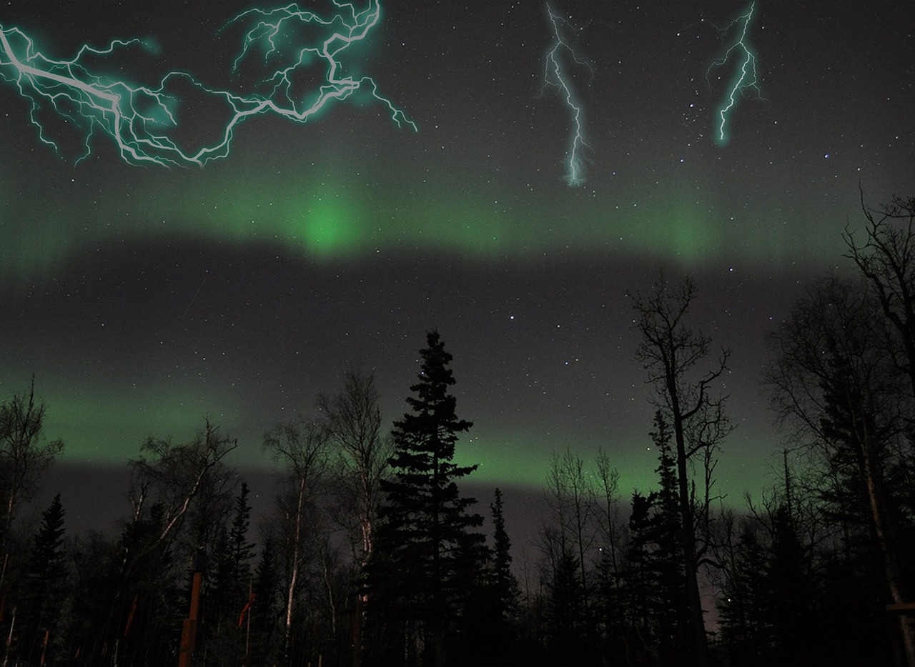 Image - lightning trees forest night