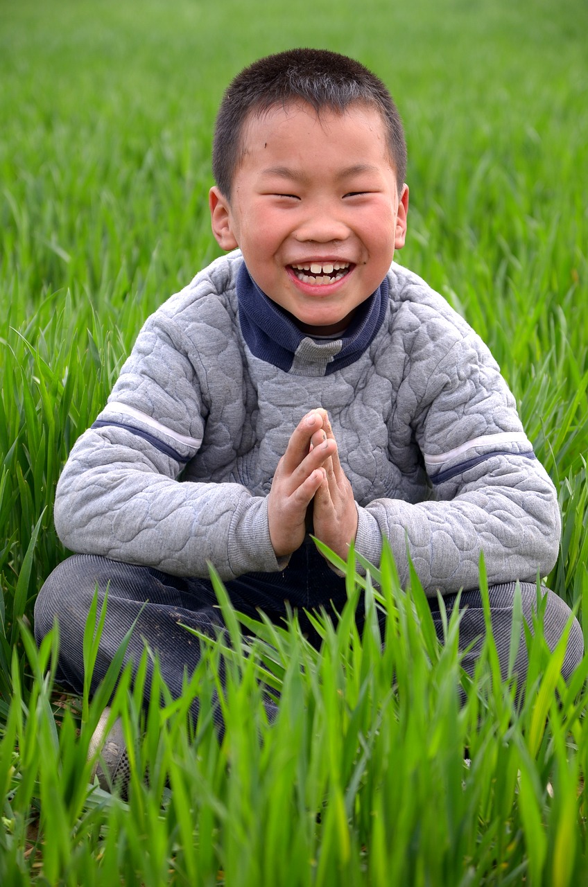 Image - portrait child in wheat field