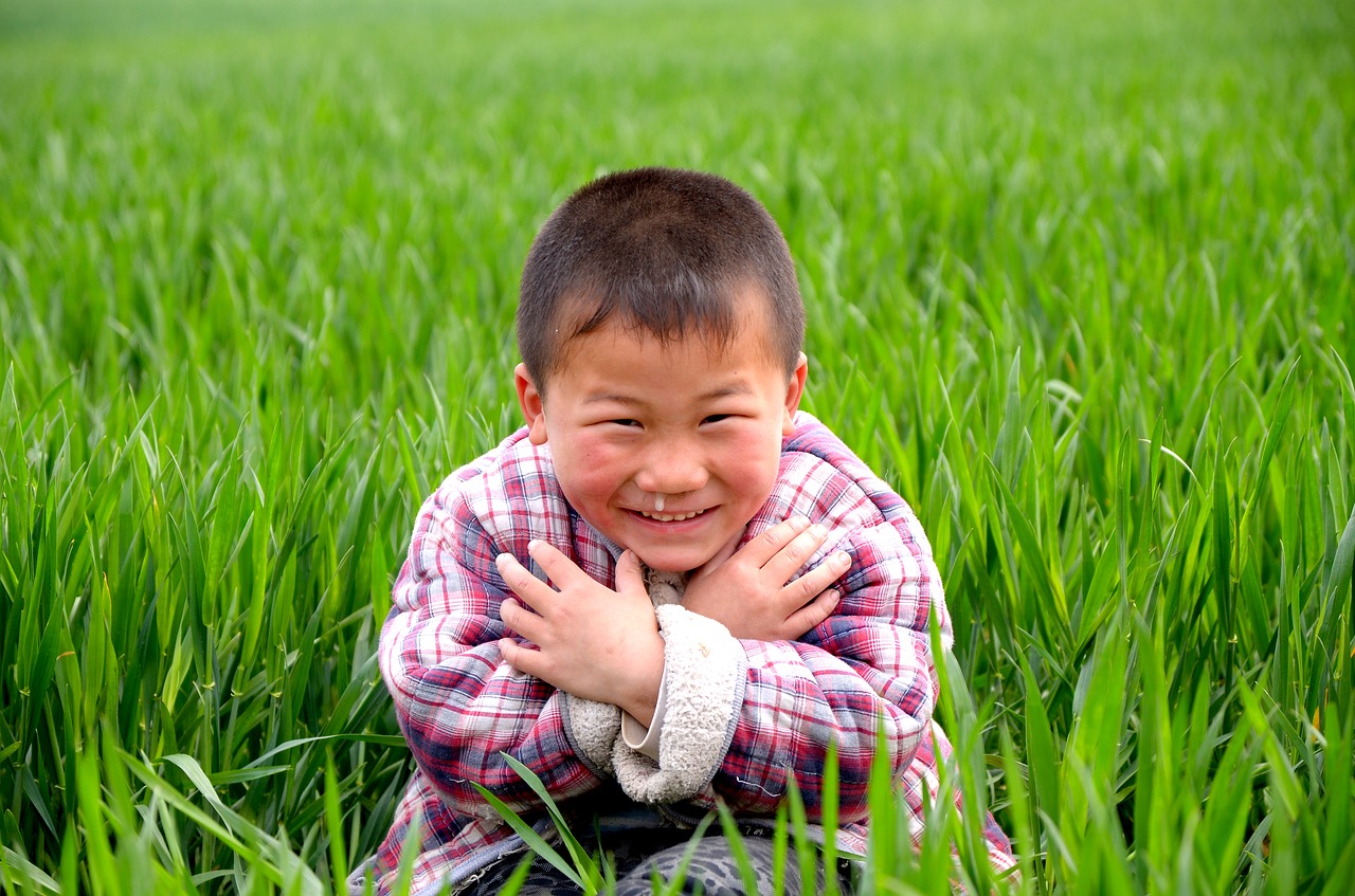 Image - portrait child in wheat field