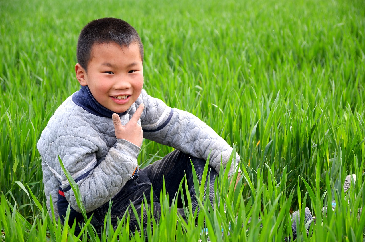 Image - portrait child in wheat field