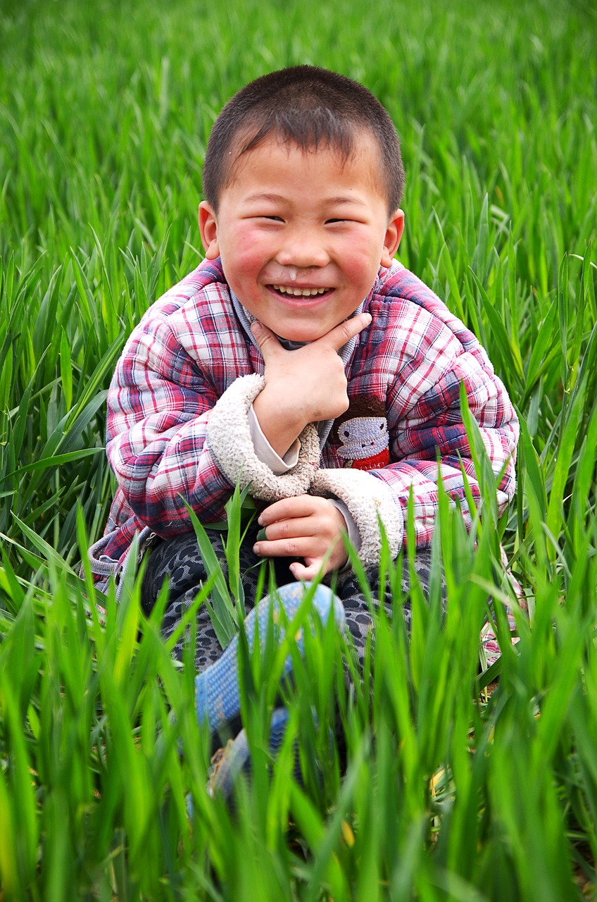 Image - portrait child in wheat field
