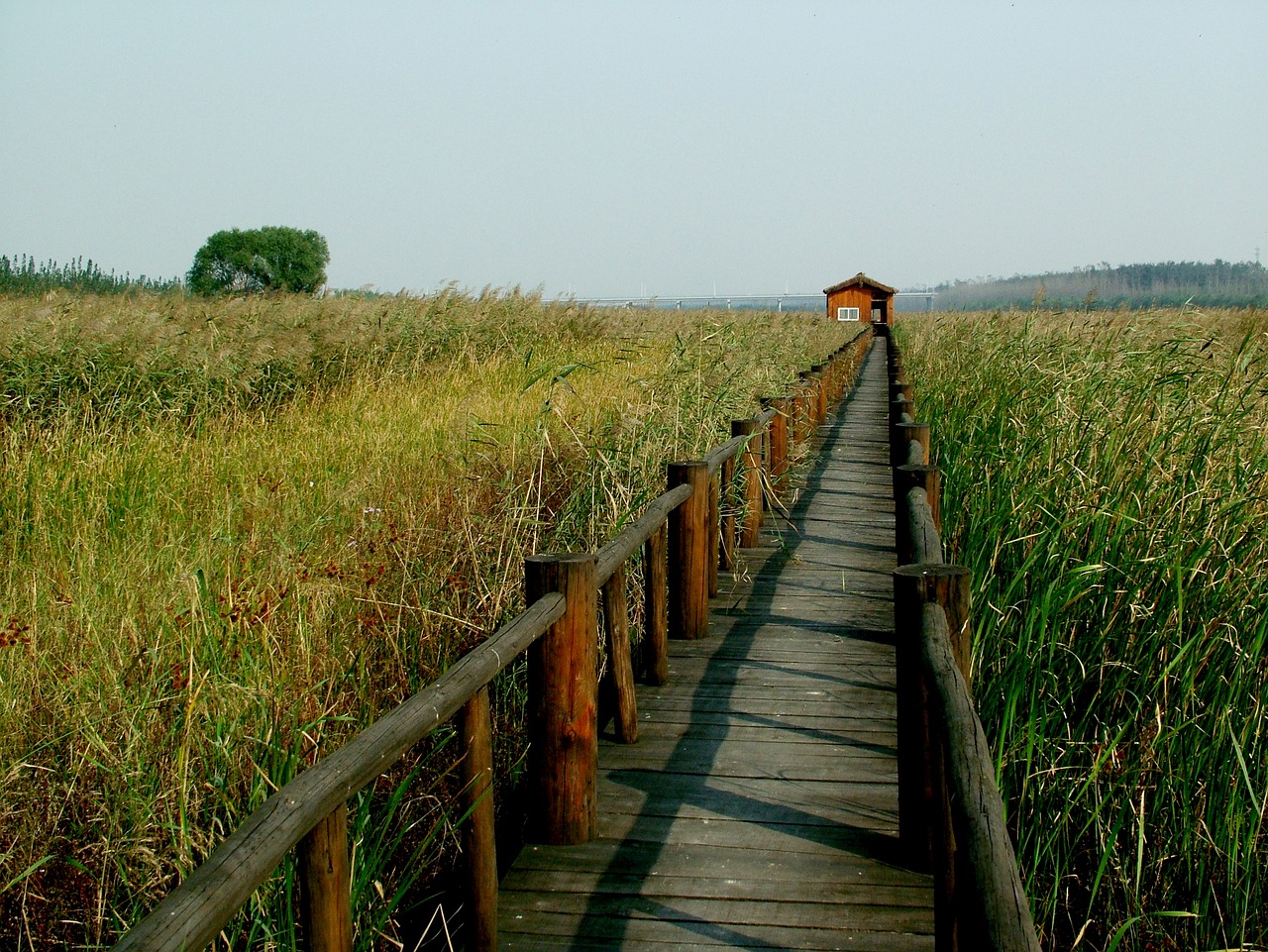 Image - chen bridge yellow river wetlands