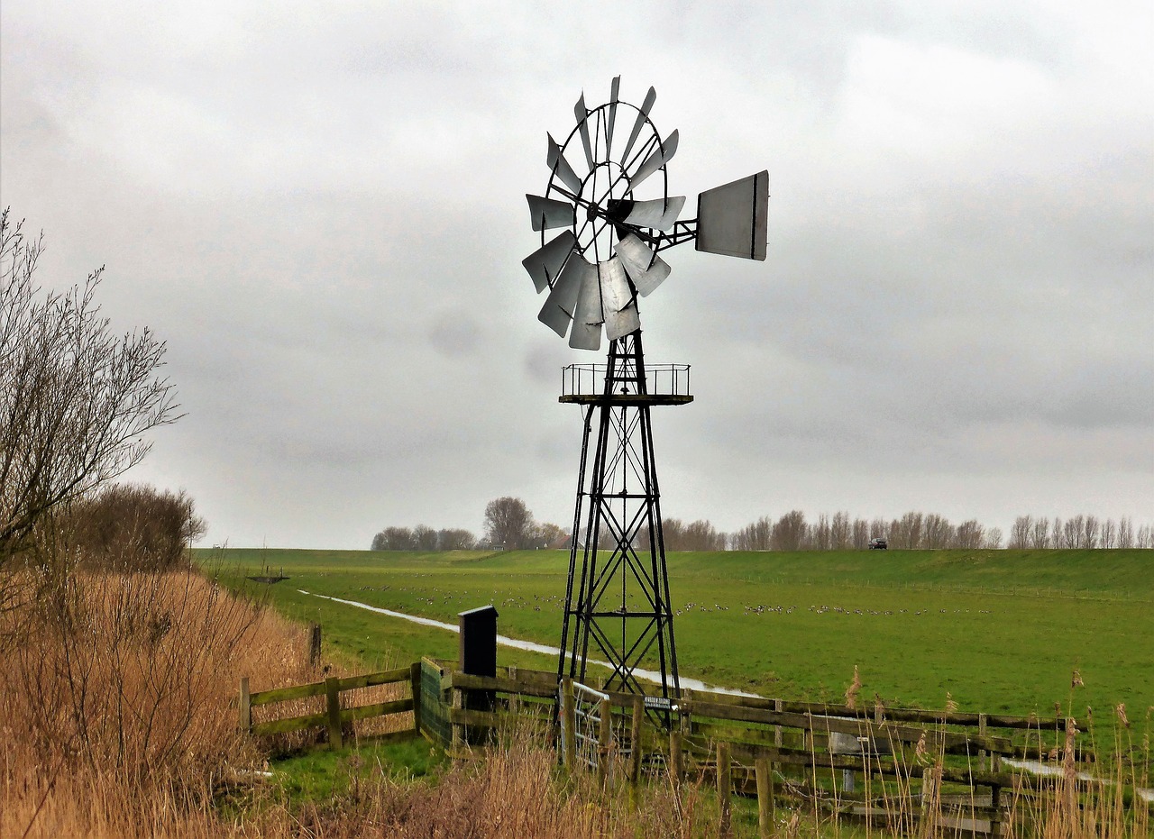 Image - landscape polder mill pasture cold