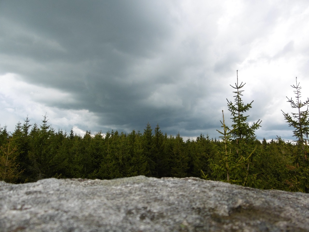 Image - forest stoves nature rock