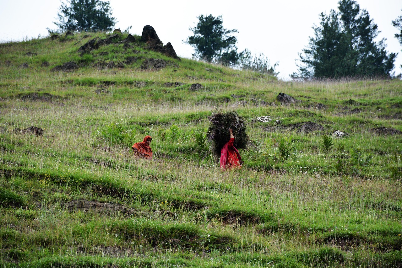 Image - local people green kashmir