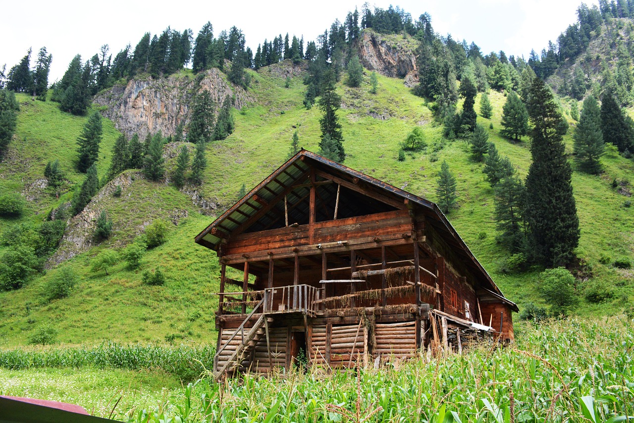 Image - sweet wooden home green kashmir