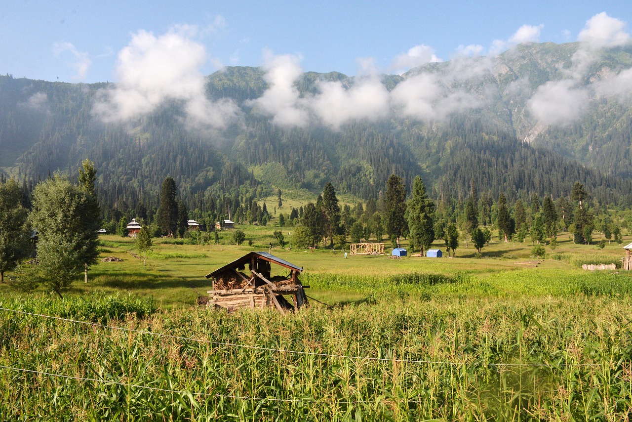 Image - morning kel mountain kashmir