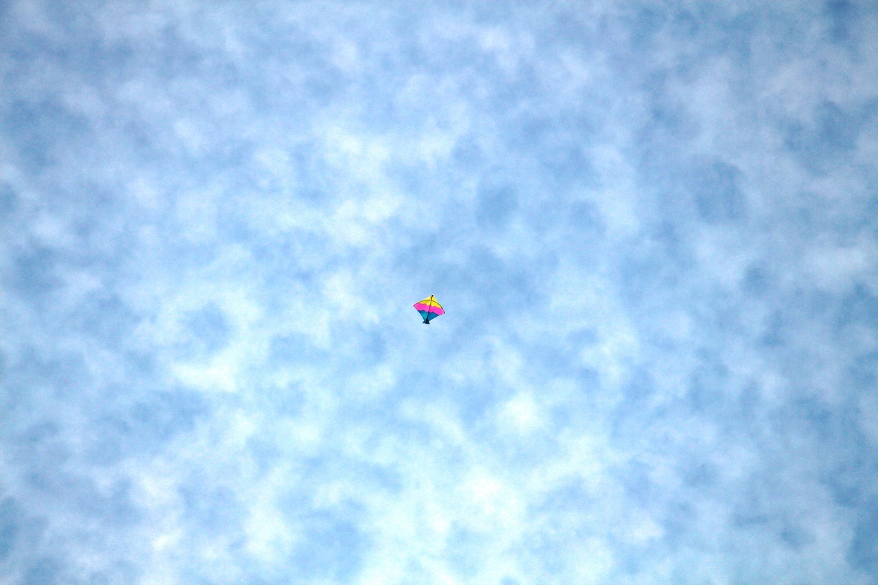 Image - kite sky india fly air freedom