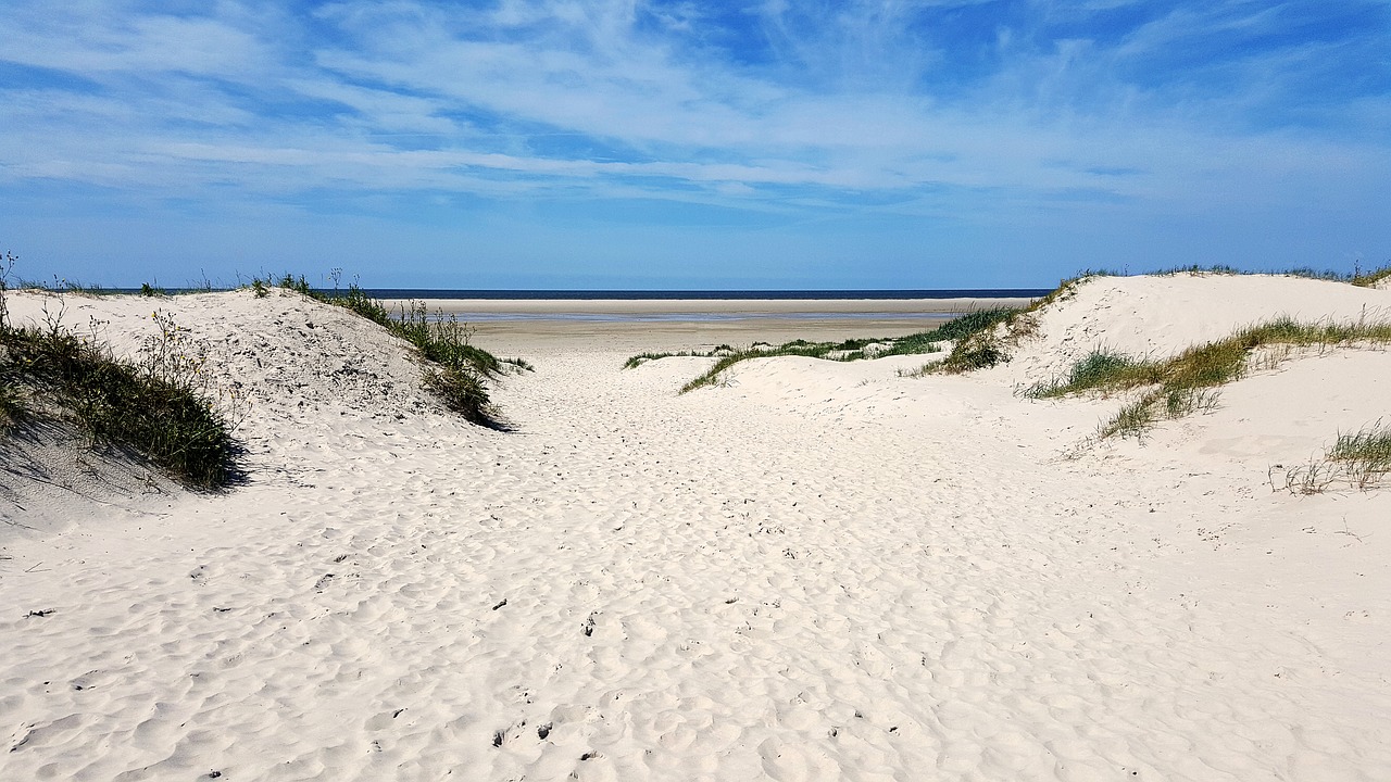 Image - beach north sea by the sea