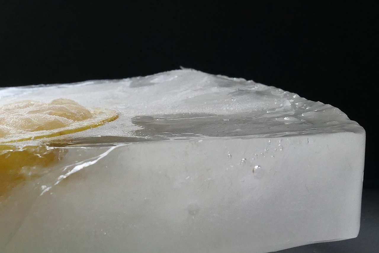 Image - ice lemon eiszitrone ice cubes