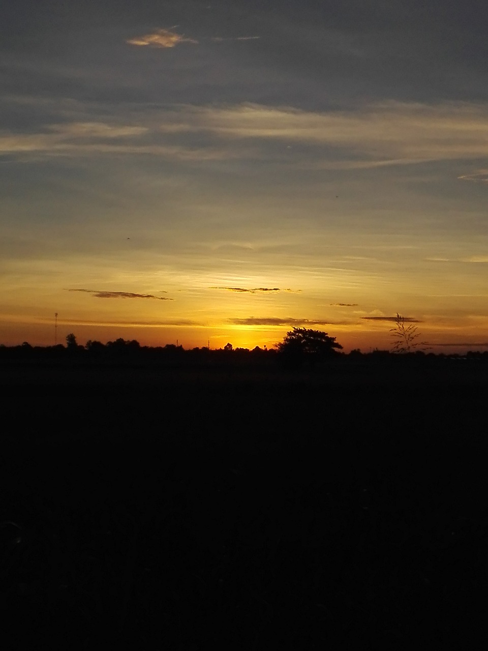 Image - sunrise cornfield mead plain sky