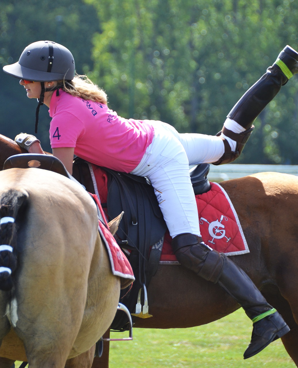 Image - polo sport horse competition