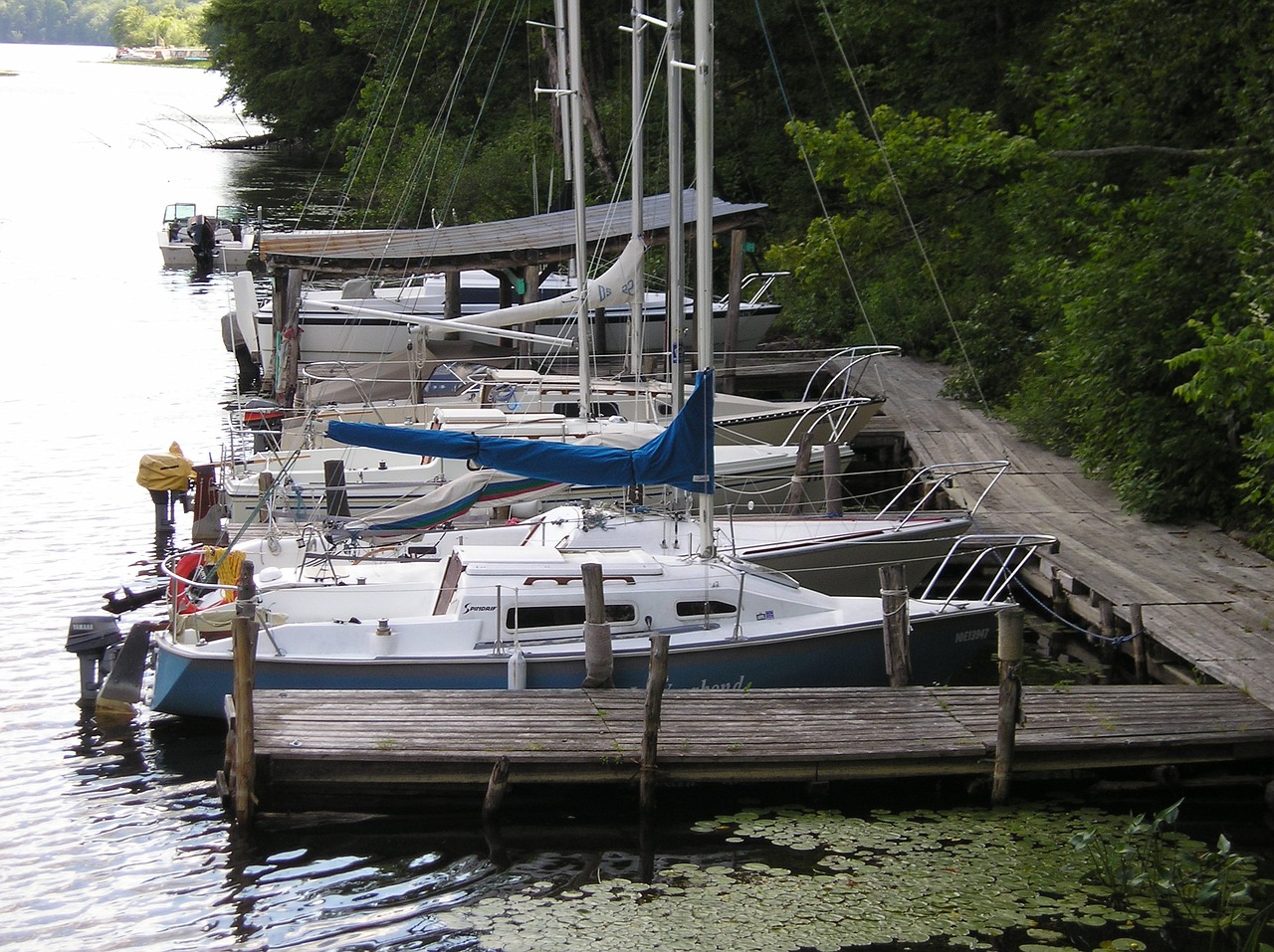 Image - boats docks nature marin maritime