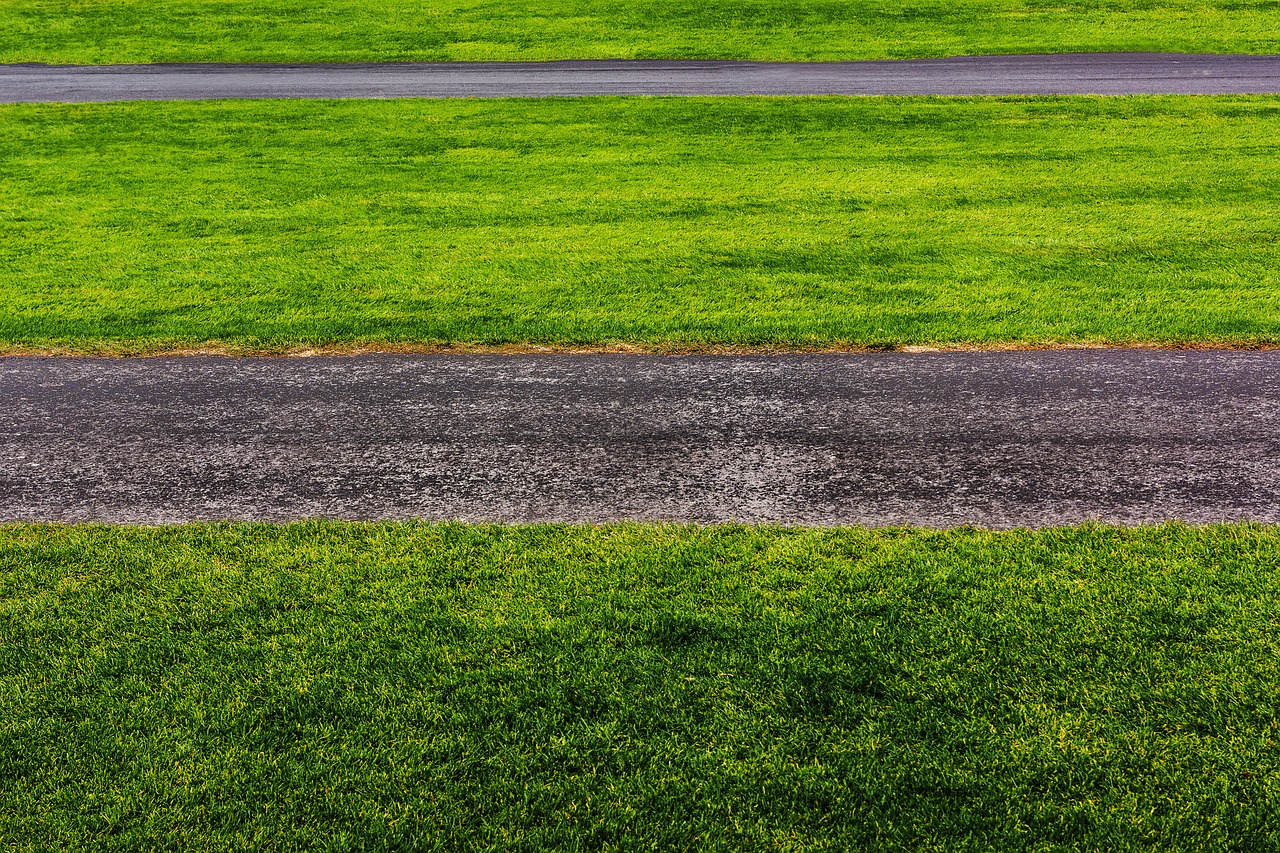 Image - grass green nature minimal summer
