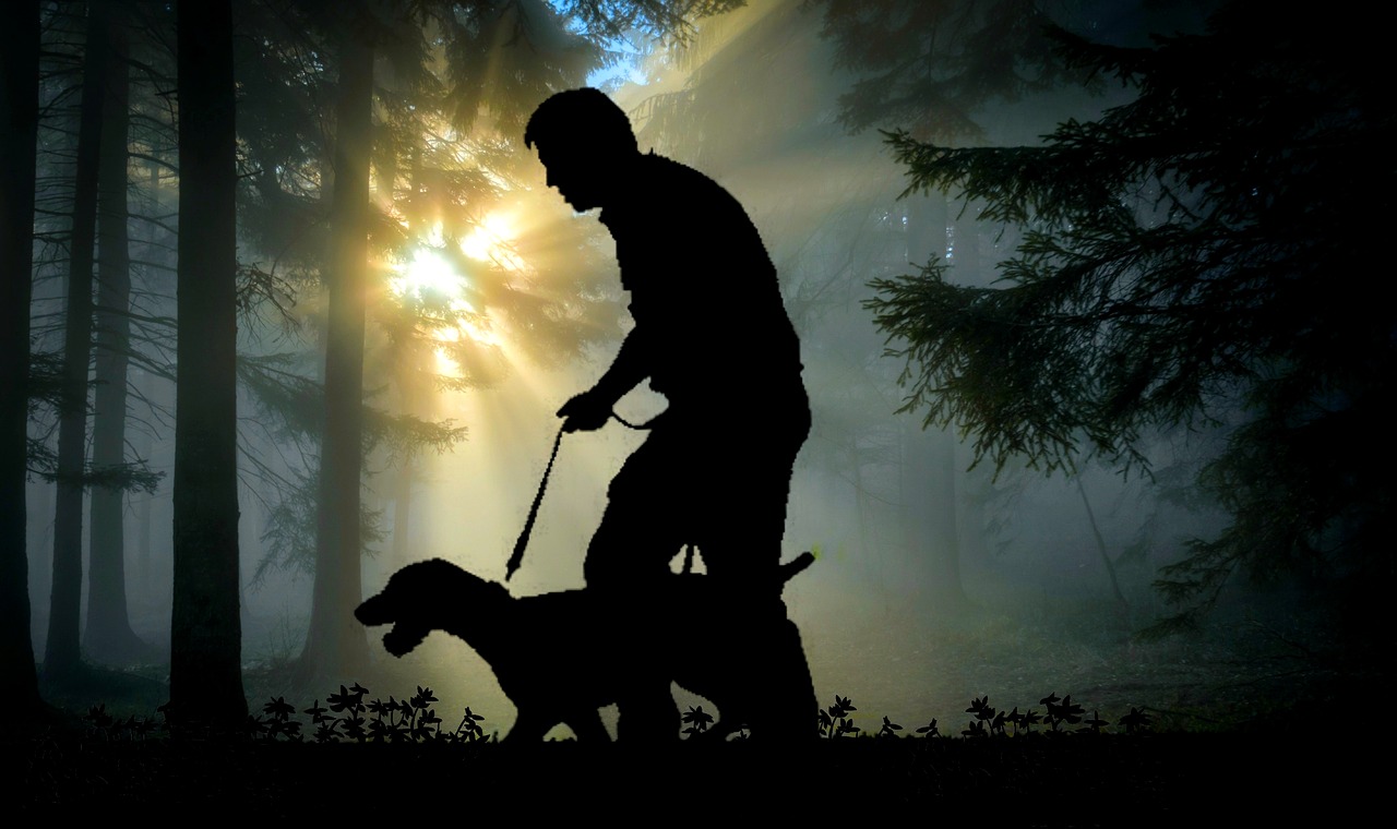 Image - walk man dog hunting dog animal